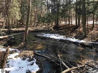 0 Brownell Rd, Beulah, MI 49617
