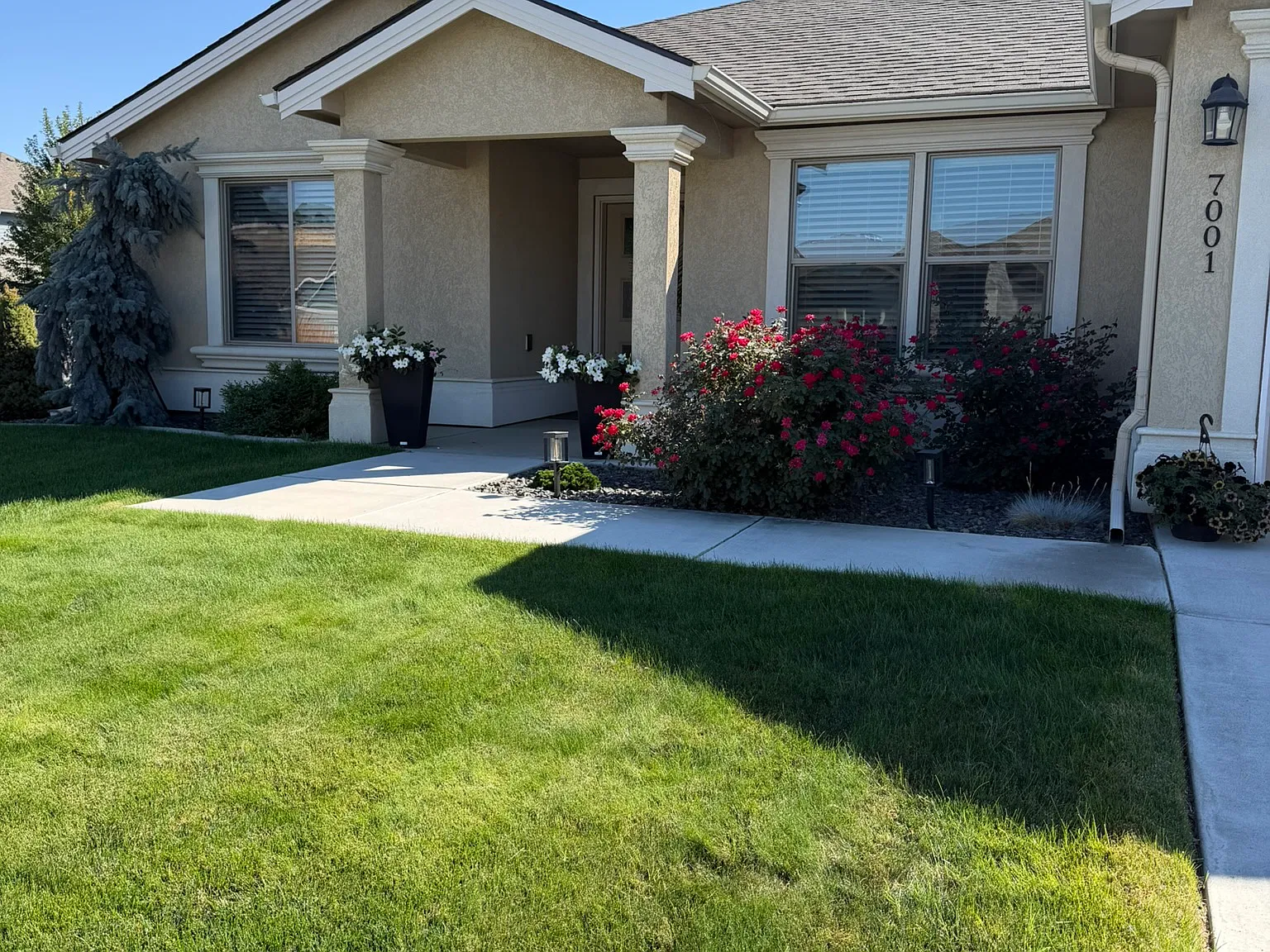 4 bed, 1700 sqft, $2,700 — Photo 2