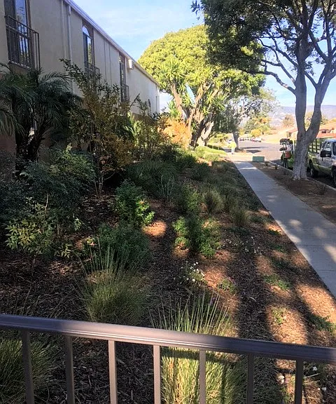 Ponderosa Apartments Exterior Front Sidewalk and Landscaping