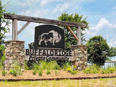 Buffalo Ridge Rd LOT 36, Milton, FL, 32571