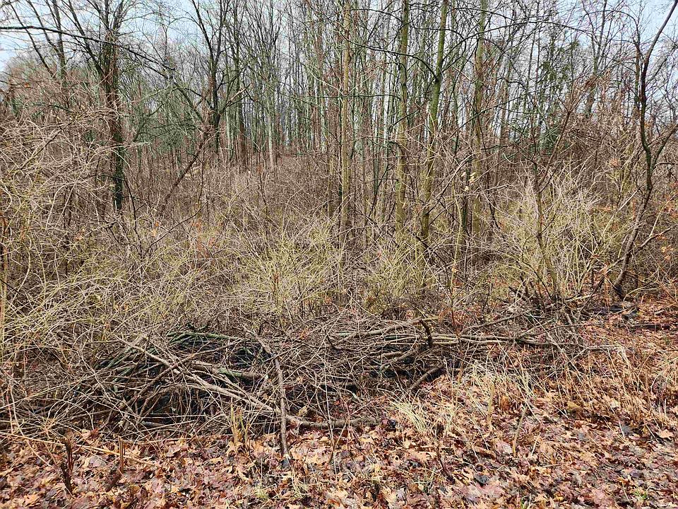2nd image of E Koher Rd S #10