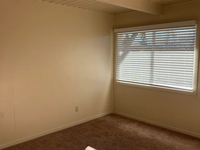 20970 Chester St — Photo 2