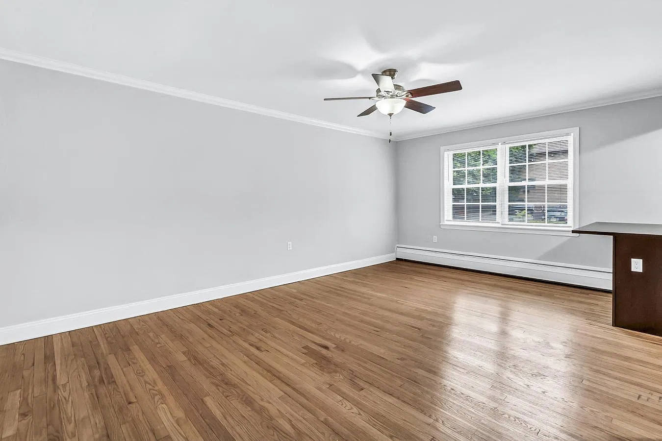 Verona Plaza Apartments — Photo 3