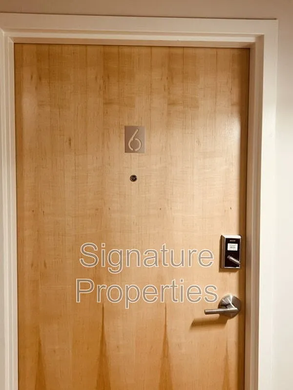 1 bed, 1.0 bath, 542 sqft, $999 — Photo 3