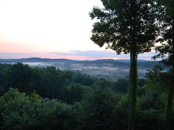 Morning view from the patio