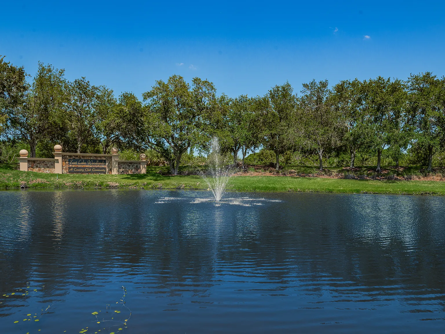 East Lake Woodlands Worthington 4 Bed 3 bath Pool Home — Photo 2