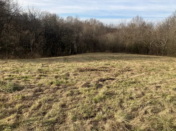 3 Diana Ridge Rd Lot 3, Pulaski, TN 38478