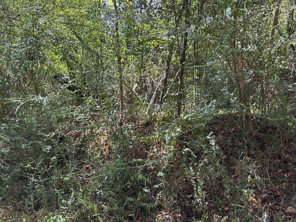 1st image of State Highway 556