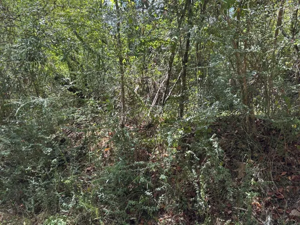 State Highway 556, Meadville, MS 39653