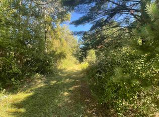 210 Kapplinger Dr, Farwell, MI 48622