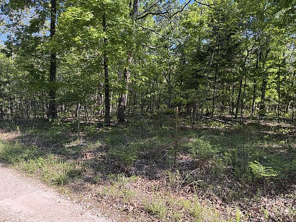 2nd image of 000 Mandrake Lane