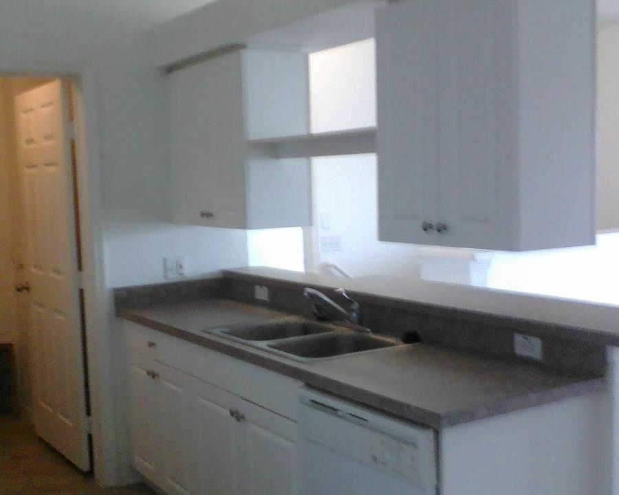 Kitchen cabinets
