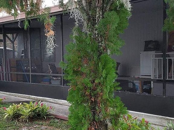 5th image of 671 N Dixie Ave #1.0