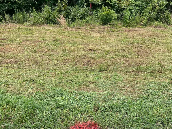LOT 3 Elmer Moore Rd Lot 3, Siler City, NC 27344