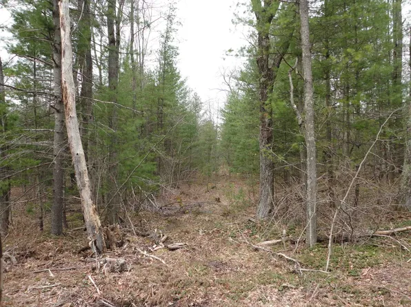 8400 Fir Trl, Harrison, MI 48625