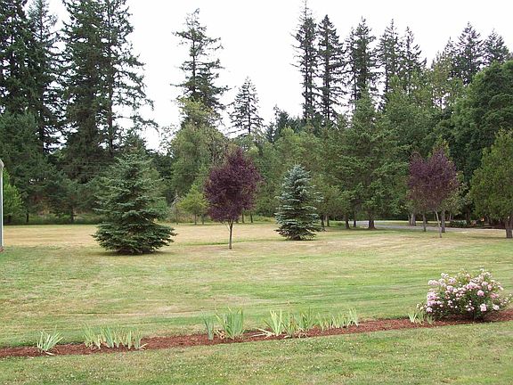 Wonderful yard!