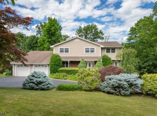 11 Jotham Rd, Montville, NJ 07045