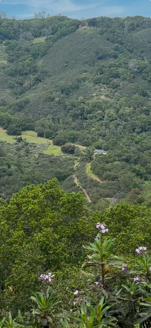 0 O'Uvas Rd photo 1