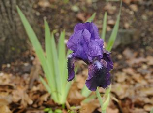 32196 S 528th Rd, Cookson, OK 74427