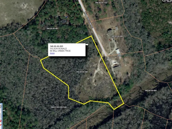 95 Mill Creek Trce, Elgin, SC 29045