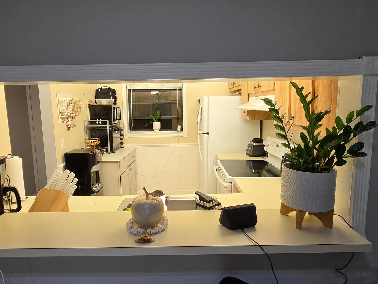 2 bed, 2.0 bath, 790 sqft, $1,850 — Photo 4