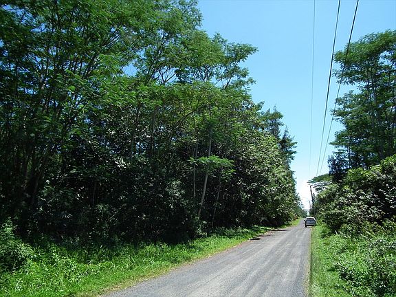 5th image of 13th Ave Lot 1207