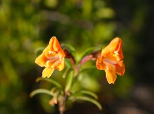 Via Escalon, Temecula, CA 92590