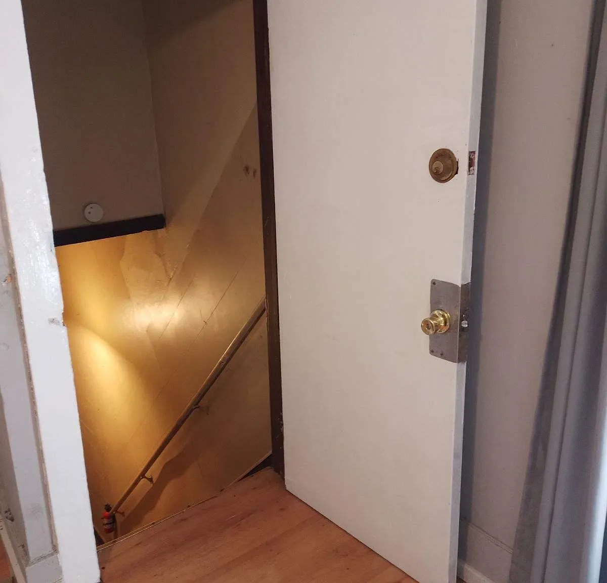 Studio, 700 sqft, $800 — Photo 3