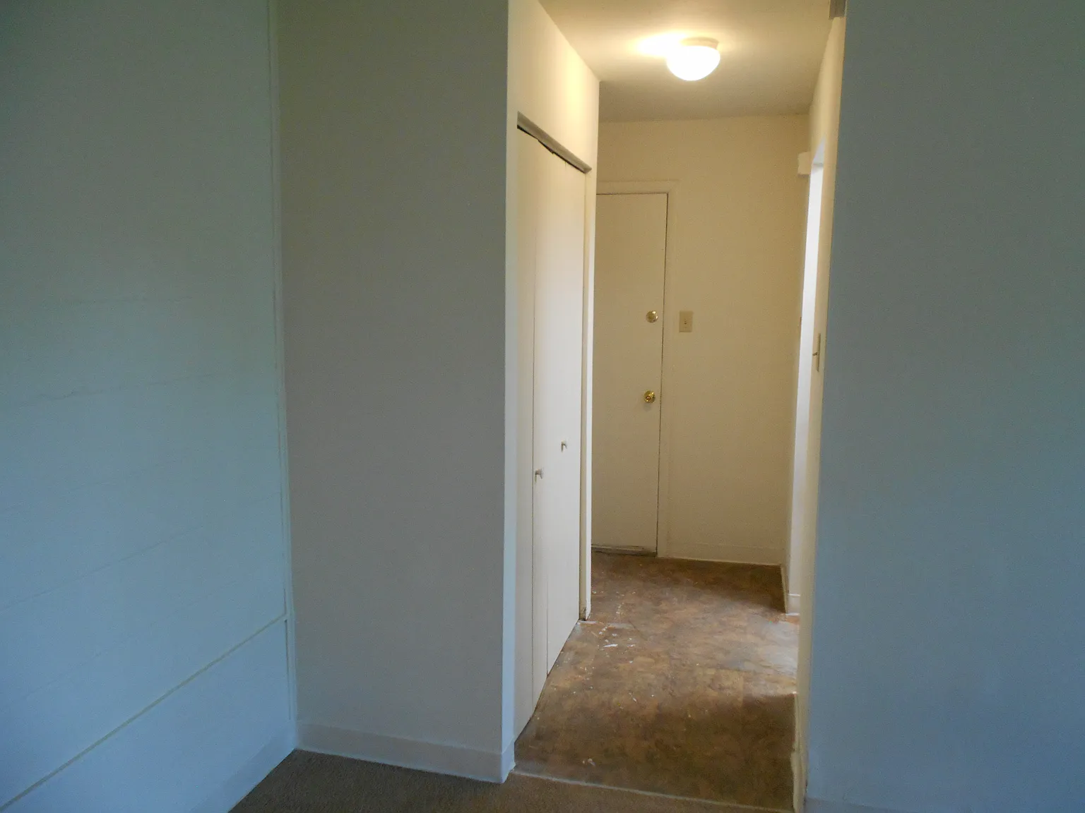1 bed, $1,200 — Photo 3