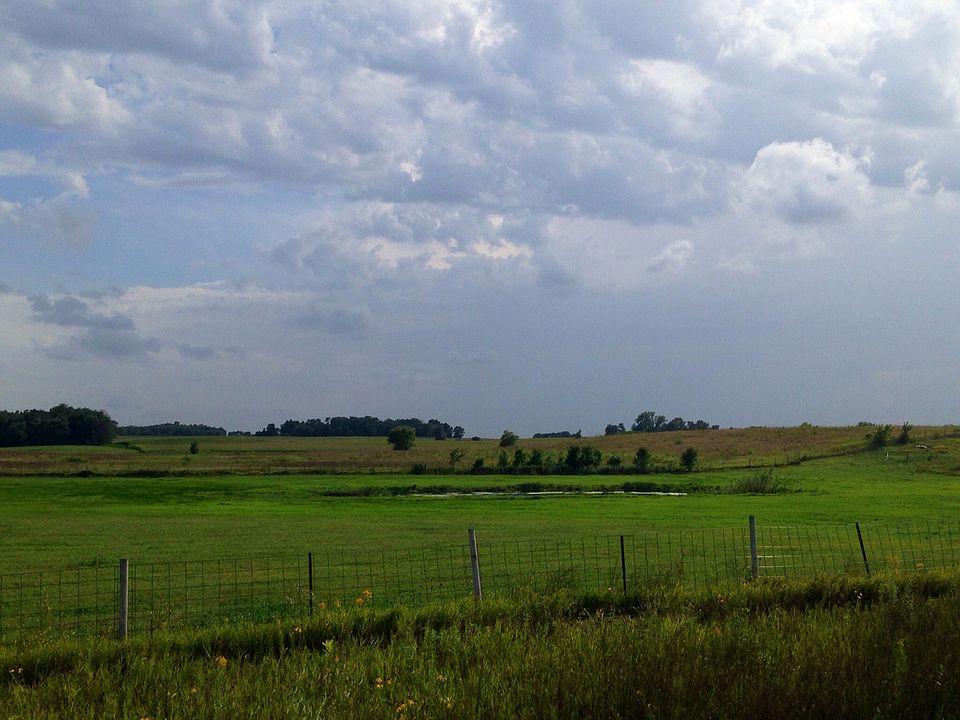 East pasture with pond