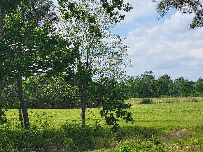 1730 County Road 803 — Photo 1