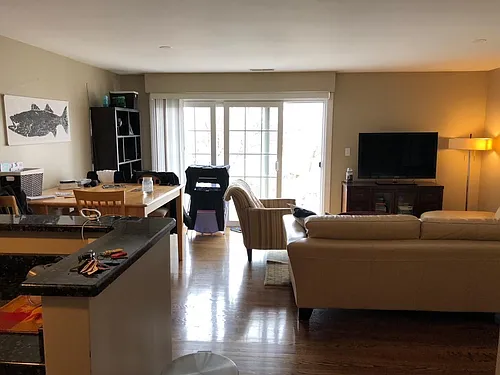590 Main St #203 Photo 1