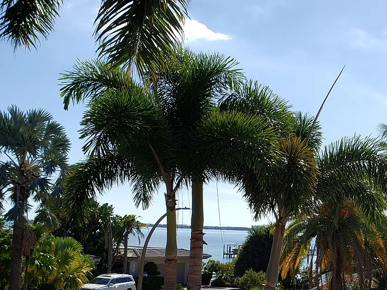 View from Balcony and front rooms