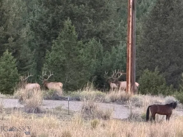 Nhn, Anaconda, MT 59711