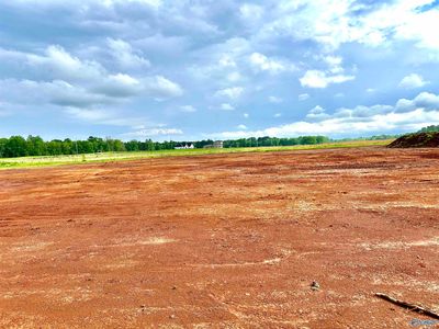 TRACT 19 Hays Mill Rd, Elkmont, AL, 35620