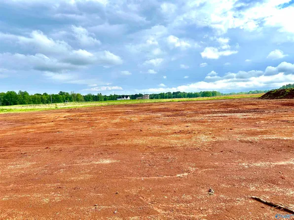 TRACT 19 Hays Mill Rd, Elkmont, AL 35620