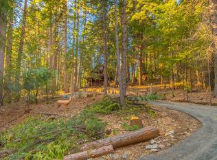 2055 Forebay Rd, Pollock Pines, CA 95726
