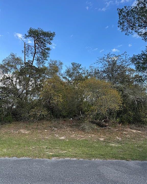 2nd image of Marion Oaks Golf Rd Lot 14