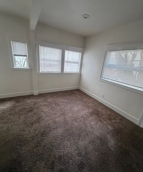 2337 Waverly St — Photo 35
