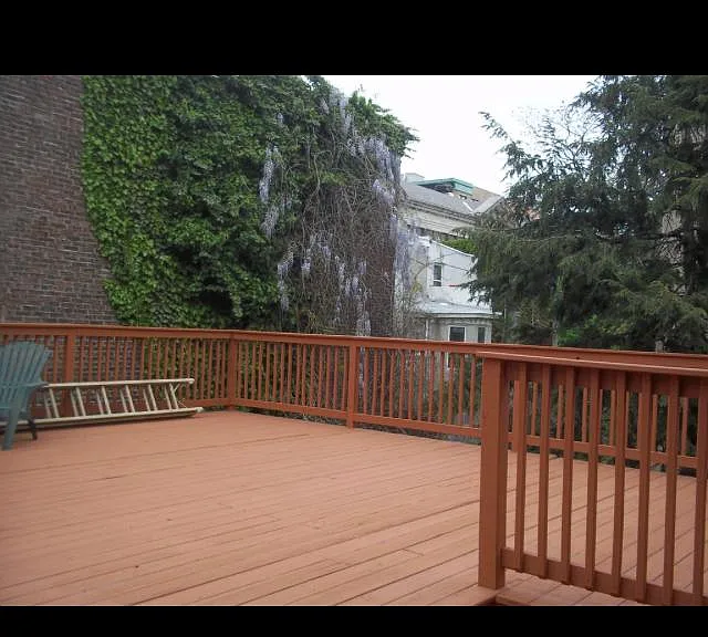 1533 Green St #1E — Photo 25