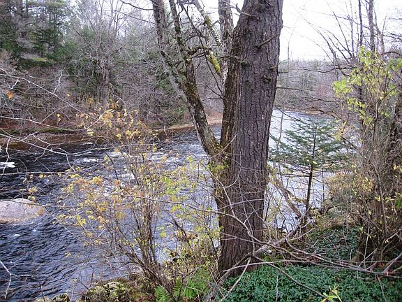 5th image of 2444 County Highway 119