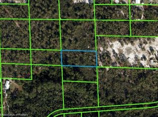 479 Beasley Ln, Sebring, FL 33875