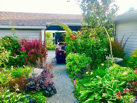 Garden in full bloom!