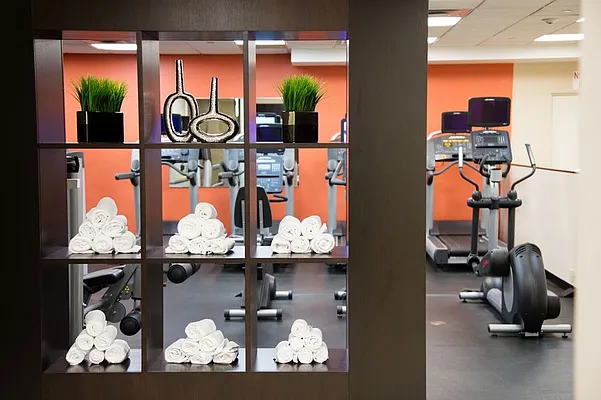 Rented by Mirador Real Estate | media 11