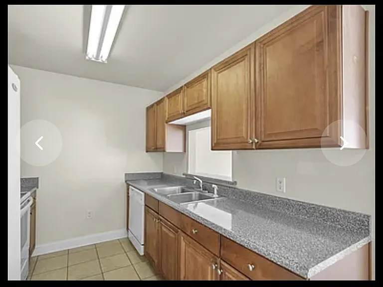 506 Wingspan Way — Photo 6