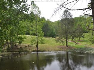 110 Left Fork Powell Hollow Rd, Danville, WV 25053