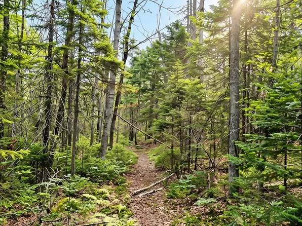 Lot 42 Colby Road, Westport Island, ME 04578