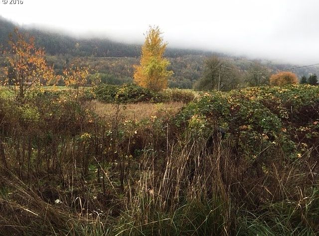 2nd image of 28582 Dike Rd
