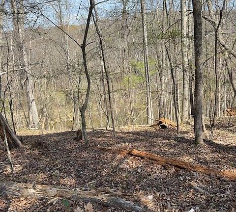 3rd image of 0 Seven Island Rd Tract 4