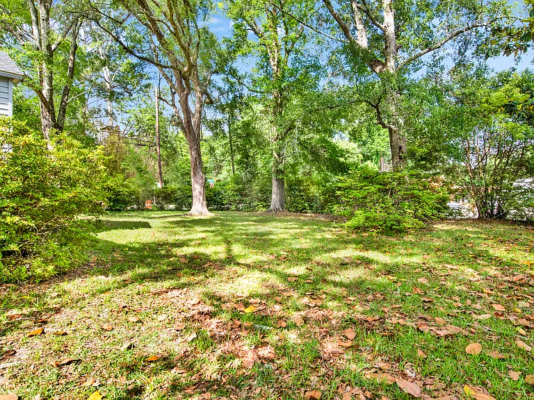 Backyard.